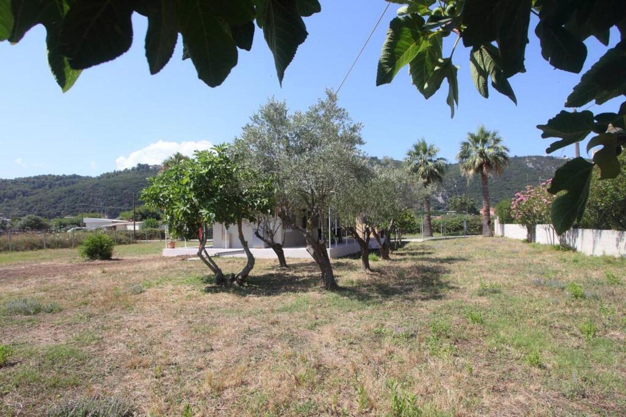 Olga Home Agios Ioannis Lefkada - Lefkada Bnb Екстер'єр фото